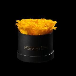 Caja de 12cm con Rosas Preservadas Yellow