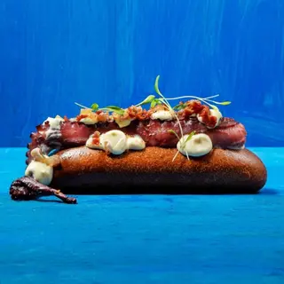 Octo Dog Med
