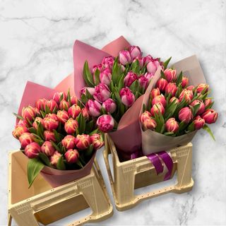 Buchet floral cu 25 Lalele 
