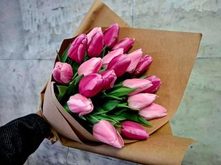 20 ცალი ტიტა