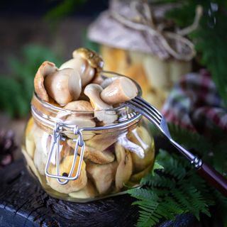 Гриби  (  Як додаток в середину хот-дог  )