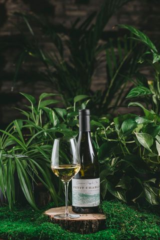 Petit Chablis Doamine Passy le Clou