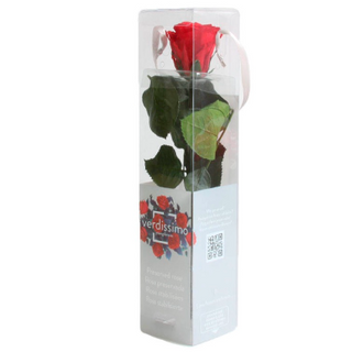 Rosa Roja Corta Preservada (25 Cm.)