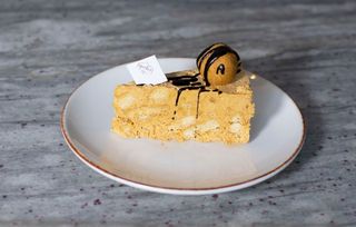 ჭიანჭველა