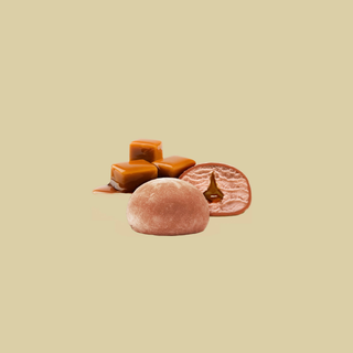 Mochi al Caramello