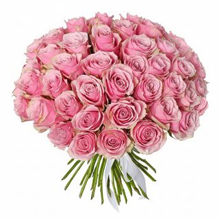 51 троянда Athena Royale (Кенія)