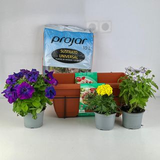 3 Plantas Mix+ Jardinera + Tierra 10L