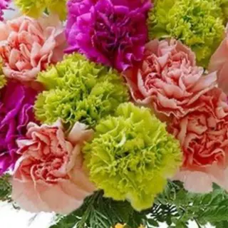 Bouquet garofani 