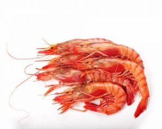 Gamba Roja Mediterraneo