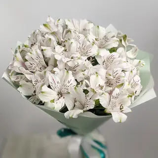 თეთრი ალსტრომერიის თაიგული 2053