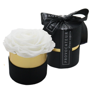 Eternity rose blanca