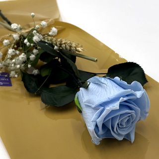 Rosa Azul Celeste Preservada