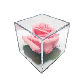 Rose Cube rosa