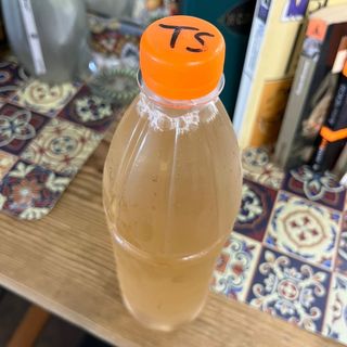 Tsolikauri home (white dry) 0.75L