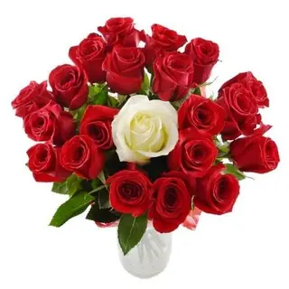 mazzo di 20 rosa rosse ,1 rosa bianca (red naomi roses ) dalla olanda