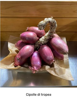 Cipolle di Tropea 500 g