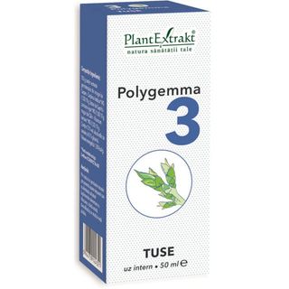 Polygemma nr. 3 - Tuse