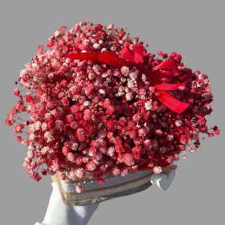 Pudełko gipsówki w kształcie serca