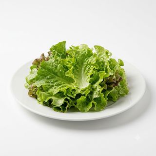 Lechuga