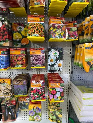 Bustine sementi fioritura