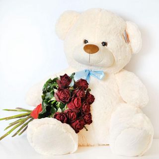 Misca (80 cm) cu 11 trandafiri rosii