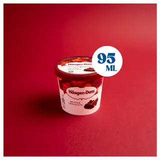 Haagen-Dazs Chocolate 95ml