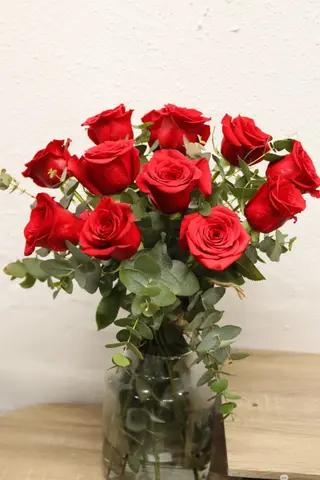 10 Rosas Rojas