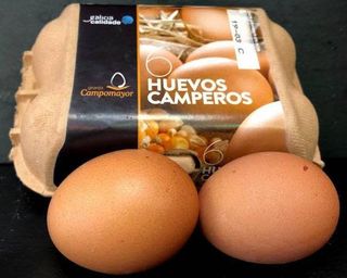 Huevos Camperos de Galicia (1/2 Docena XL)