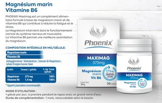 Phoenix Maximag 375mg B30 Gelules