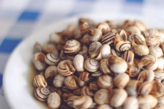 Caracoles al poleo (Ración)
