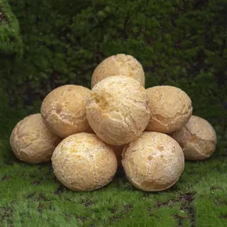 Tapioka kuglice