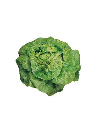 Insalata incappucciata 1 pezzo