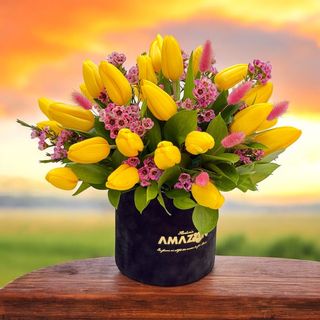 Primavara însorită.