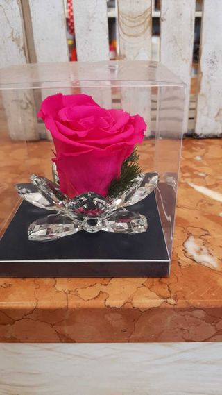 Rosa stabilizzata cristallo