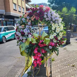 Corona difunzo