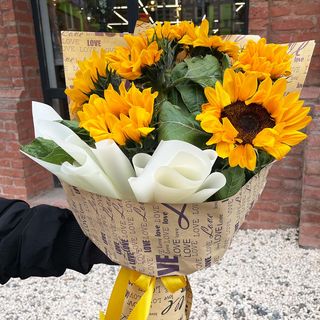 მზესუმზირები 1035