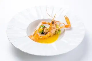 201 SCAMPI 1pz