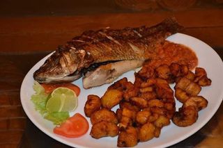 Alloco Poisson 