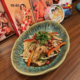 Strisce di pollo agro piccante 麻辣手撕鸡