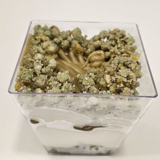 Cheescake al Pistacchio Gluten Free