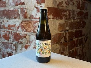 Hantverkscider (250ml)