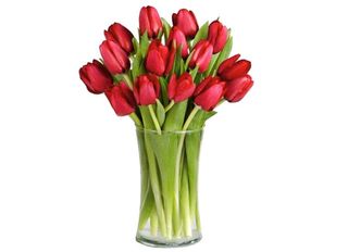 Червени лалета 15 бр
