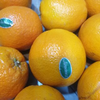 Zumo naranja natural recién exprimido (250 ml)