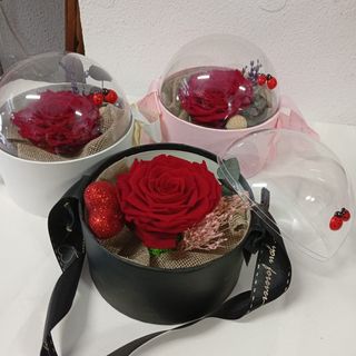 Rosa Preservada en caja-cúpula