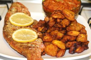 Alloco poisson 