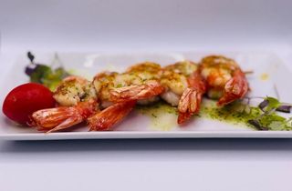 Brq. Gamba Llagostinera