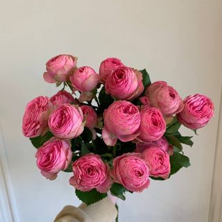 Букет з 3 кущових троянд Giselle