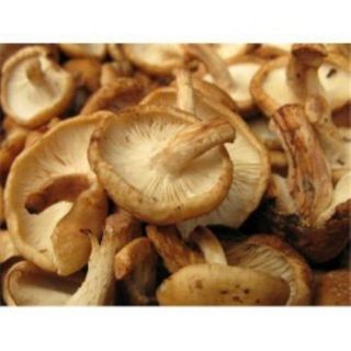 Shitake 100 Gr.