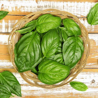Extra Busuioc verde