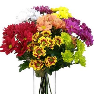 Ramo de margaritas mediano.